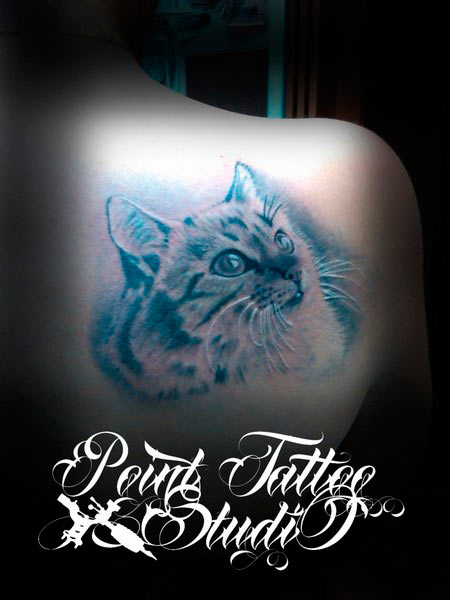 Эскиз татуировки кошка (59 фото)