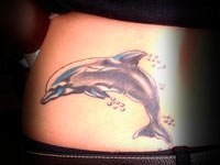 дильфин